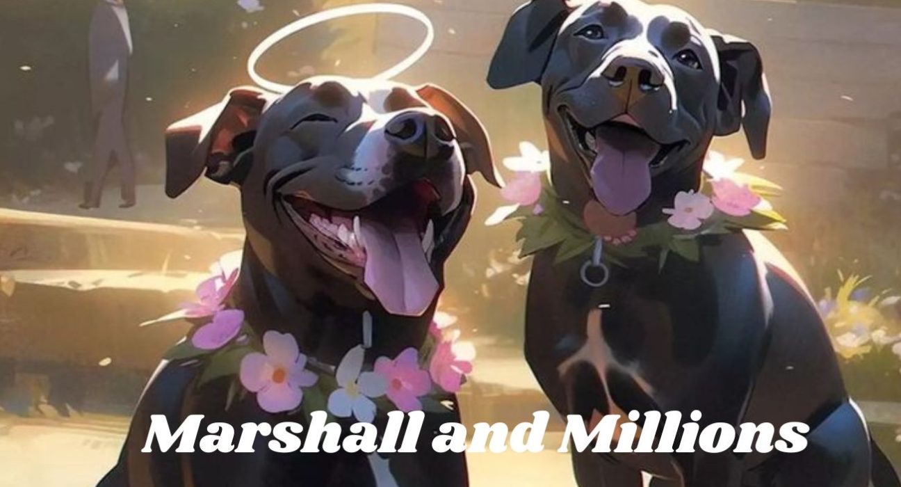 Marshall and Millions