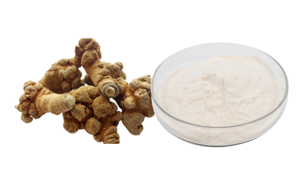 Exploring Notoginseng Root Extract Benefits & Uses