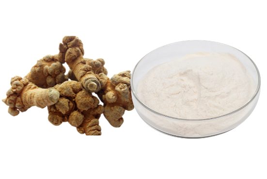 Exploring Notoginseng Root Extract Benefits & Uses