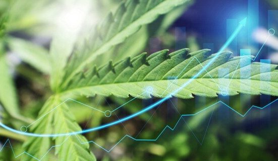 5starsstocks.com cannabis