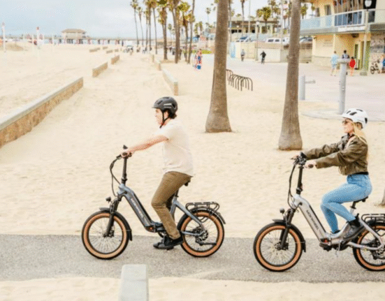 Folding Electric Bike