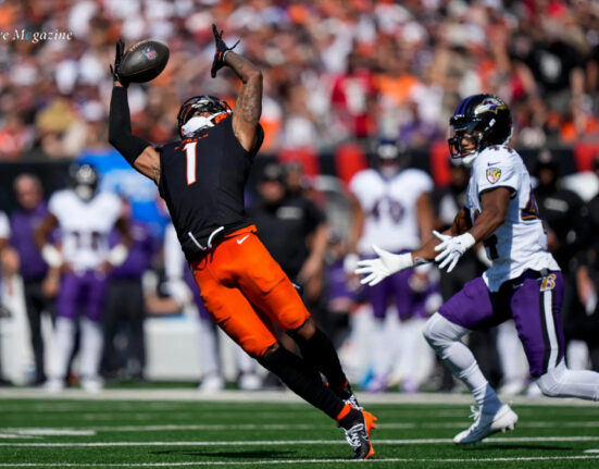 bengals vs baltimore ravens match player stats