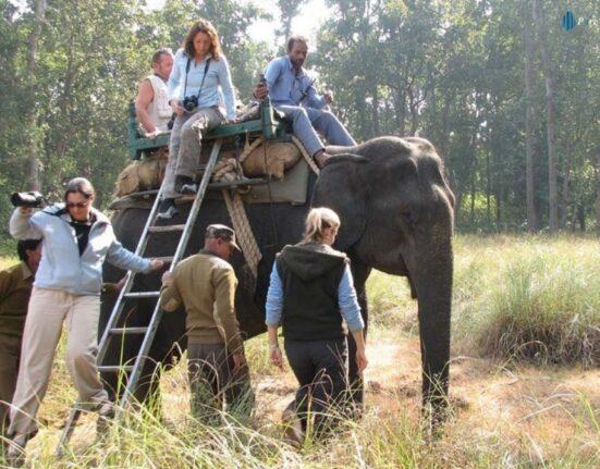how much is elephant safari in kanha national park