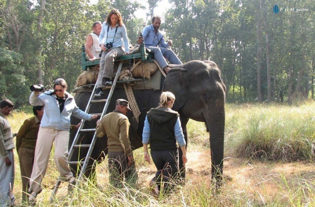 how much is elephant safari in kanha national park