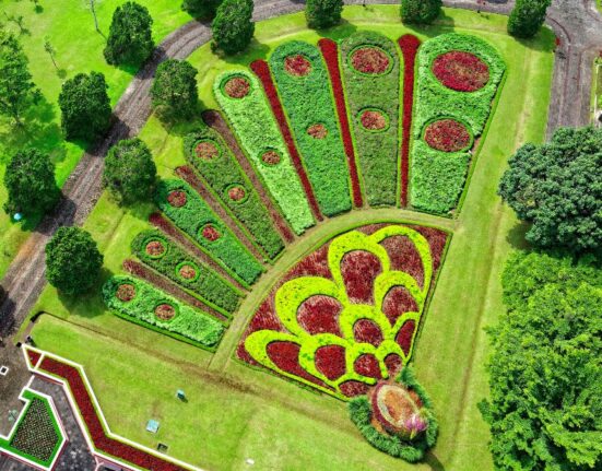 Thoughtful Garden Design