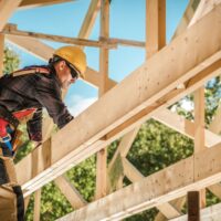 Timber Frame Extension