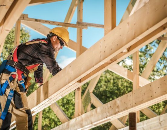 Timber Frame Extension
