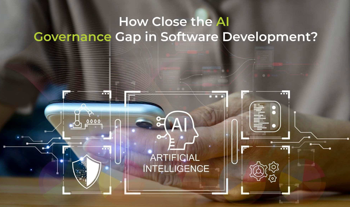 Governance Gap in Software Usage