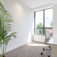 tilt-and-turn windows