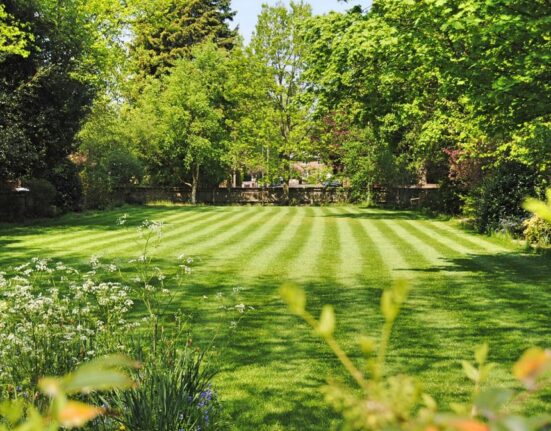 How often should you fertilise your lawn