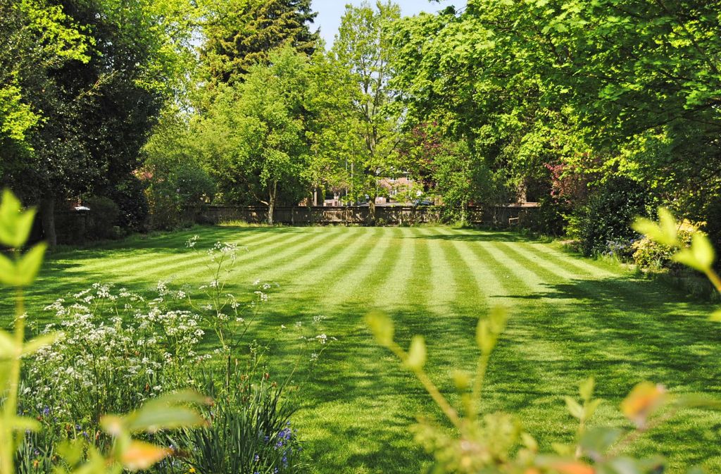 How often should you fertilise your lawn