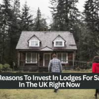 lodges for sale UK