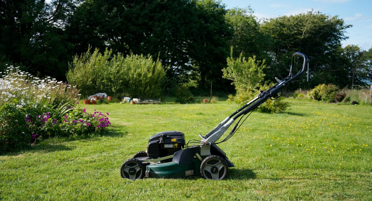 Lawn Repair Solutions