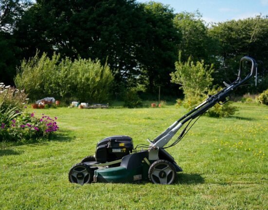 Lawn Repair Solutions