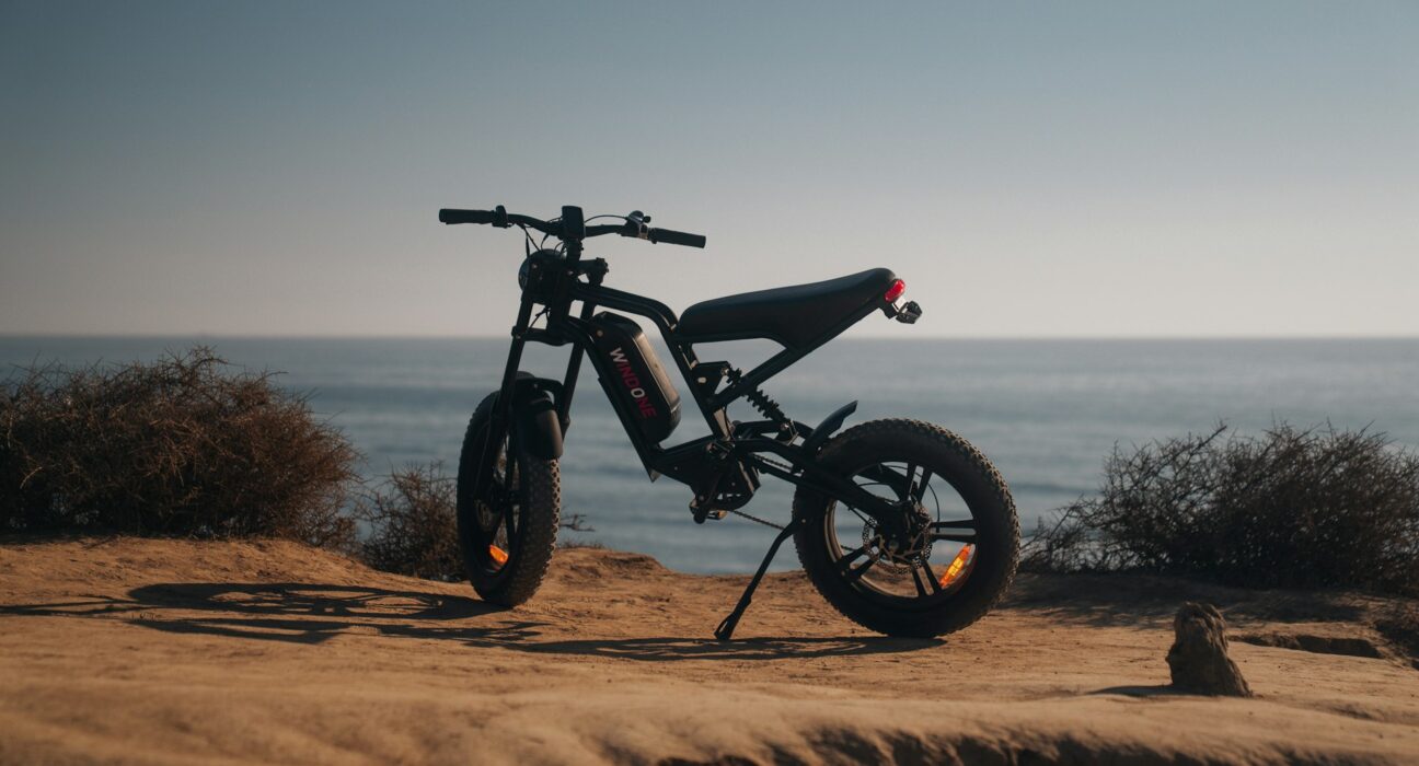 Electric Dirt Bike