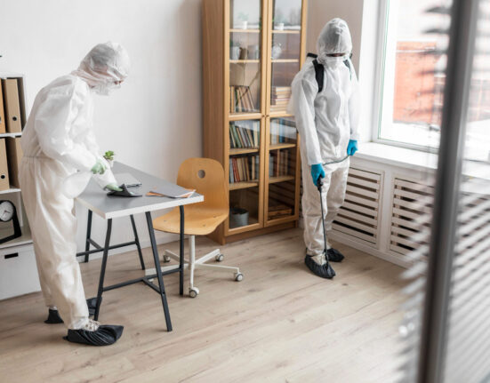 Termite Inspection in Wollongong