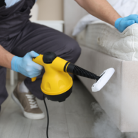 benefits of professional pest control