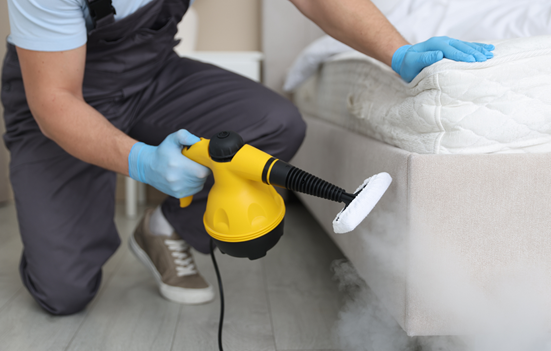 benefits of professional pest control