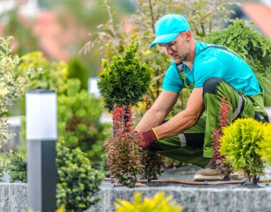 durable landscape edging Olympia WA