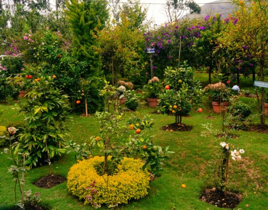 Beautiful Garden