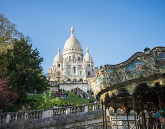 Safari Tours from France