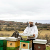 Beekeeping Suits