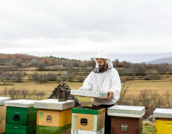 Beekeeping Suits
