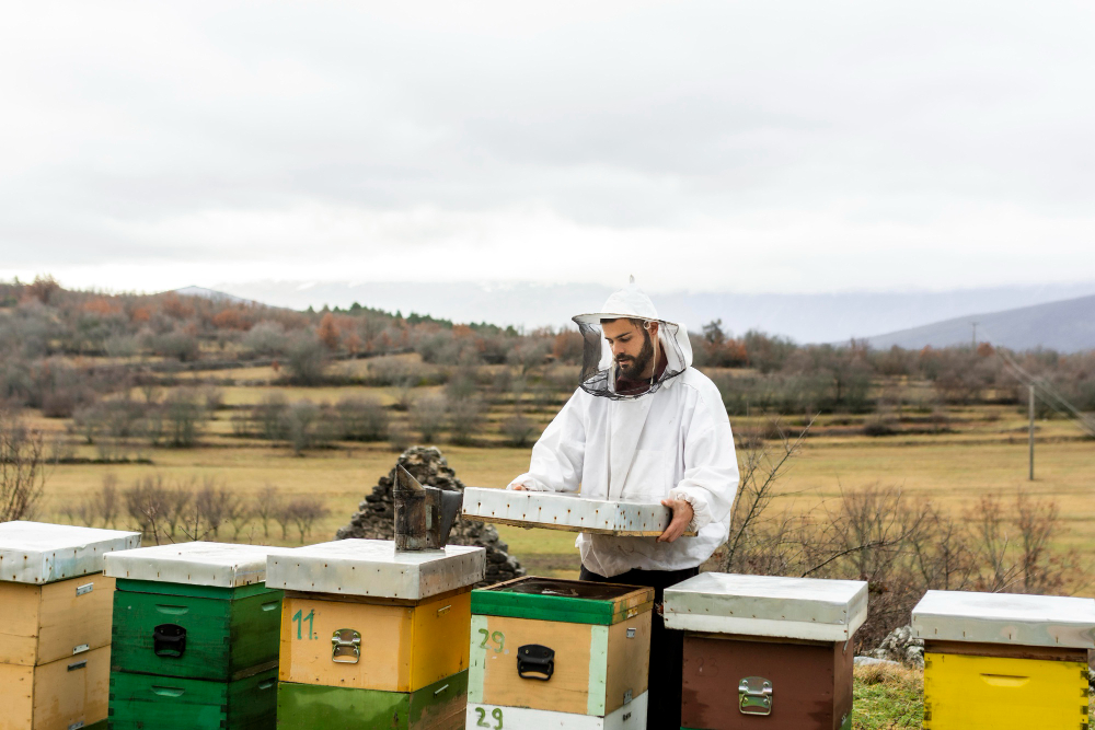Beekeeping Suits