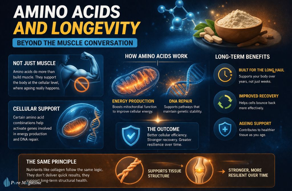 Amino Acids and Longevity