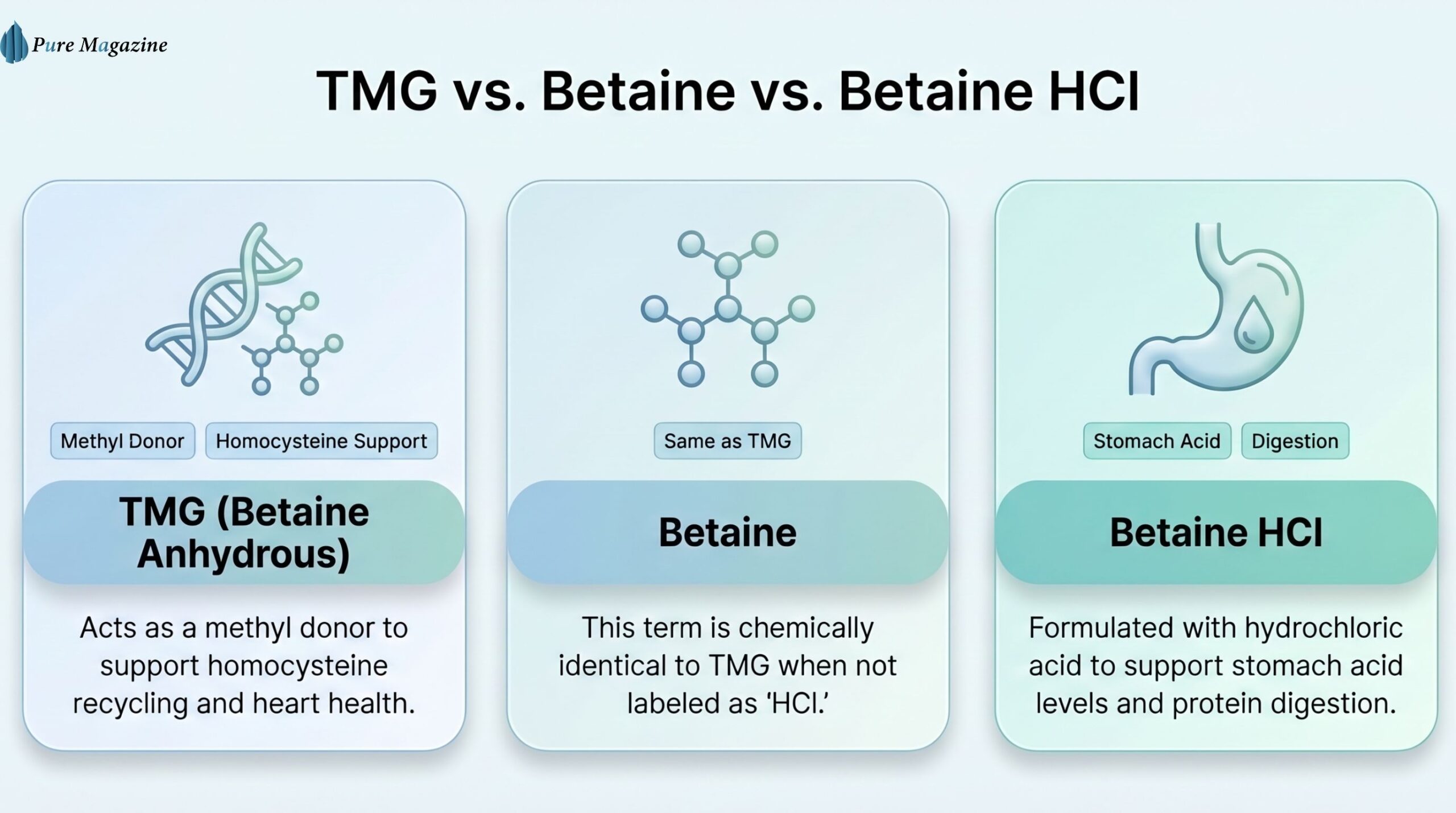 Difference Between TMG, Betaine, and Betaine HCl