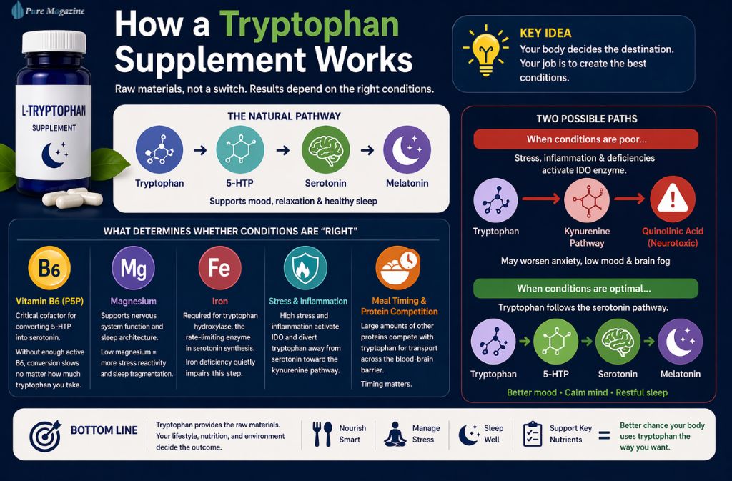 How a Tryptophan Supplement Works