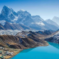 everest region flora and fauna