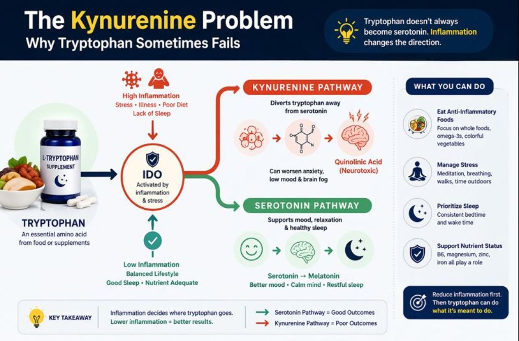 The Kynurenine Problem