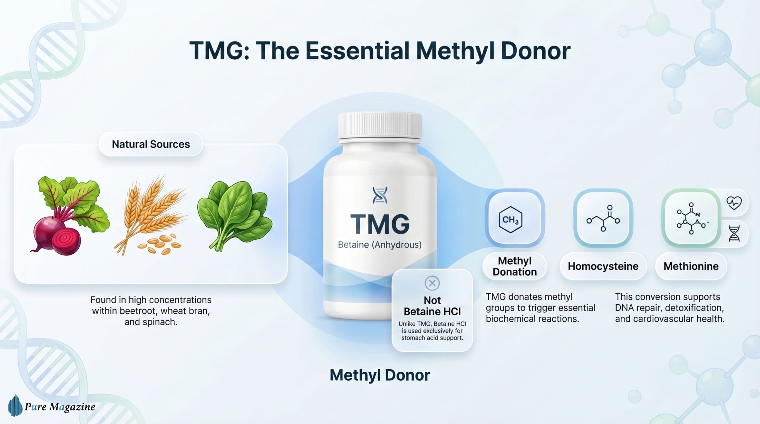 What Is a Trimethylglycine TMG Supplement and How Does It Work