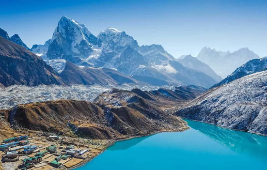 everest region flora and fauna