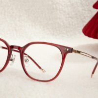 Glasses Frames