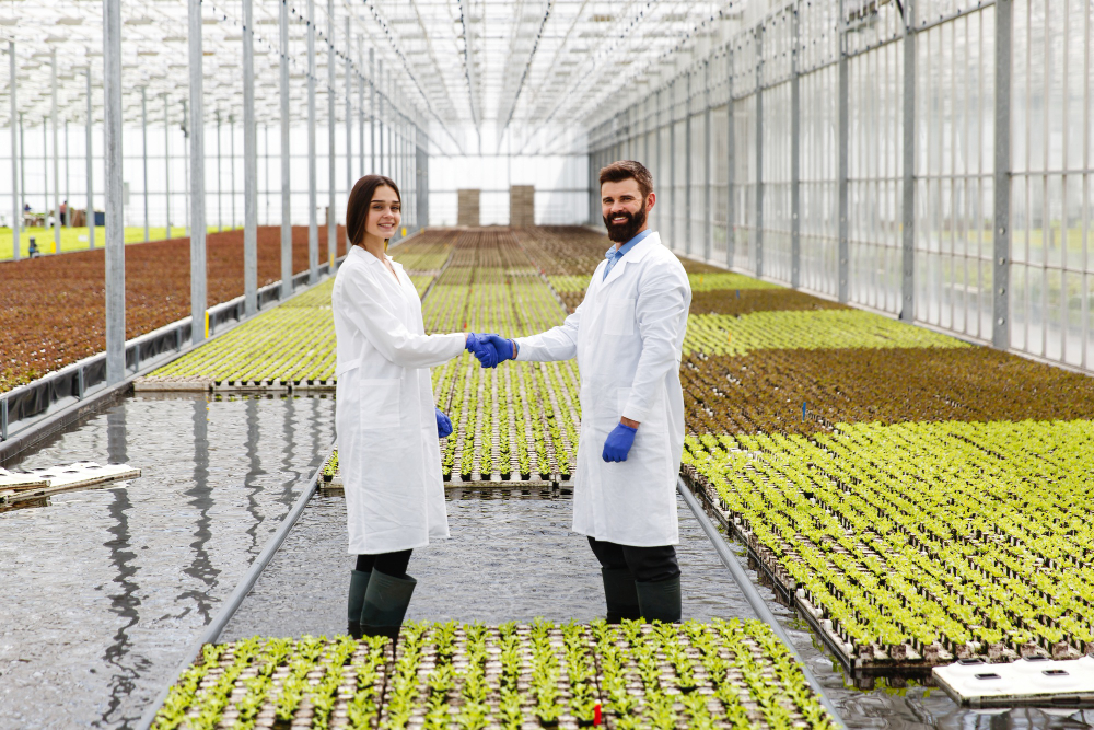 Reshaping Modern Crop Management