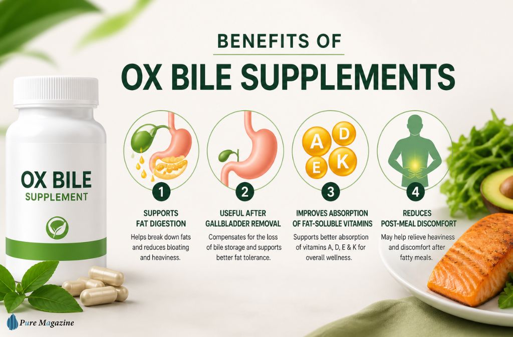 Benefits of Ox Bile Supplements