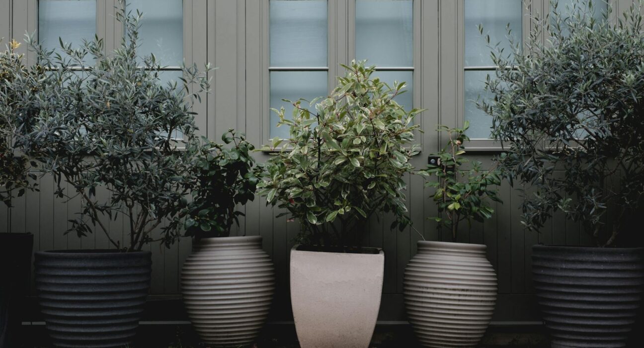 Large Plant Pots