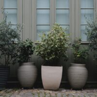 Large Plant Pots