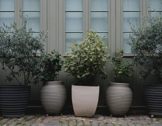 Large Plant Pots
