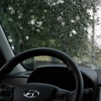 Windscreen Chips