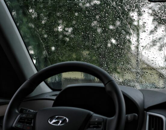 Windscreen Chips