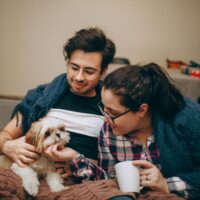 Pet treat selection